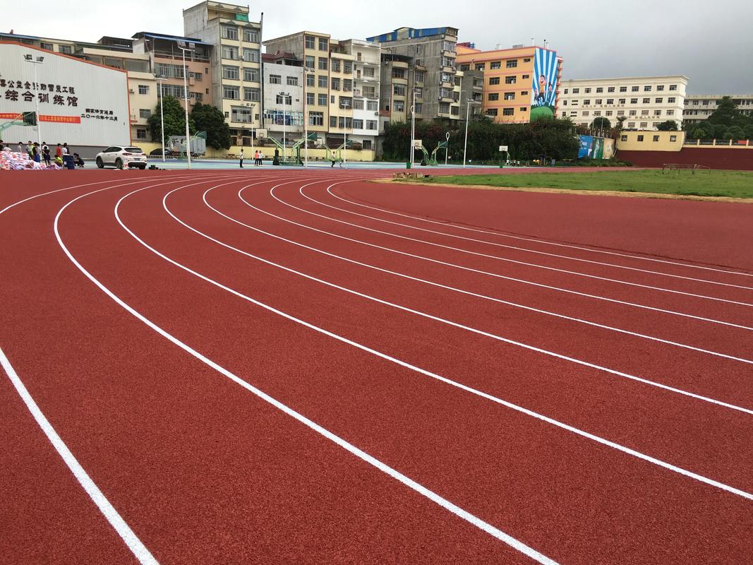 铁岭市学校塑胶跑道塑胶跑道材料 - 厂家